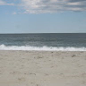 Meet your Posher, Esther